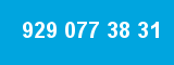 929 077 38 31
